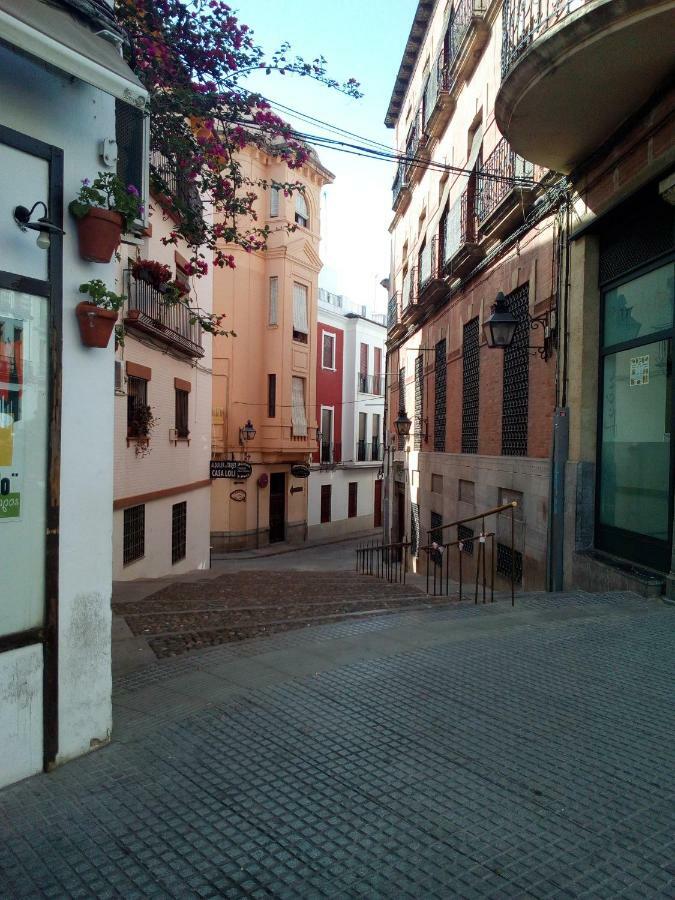 Vivienda Turistica Templo Romano Cordoba Dış mekan fotoğraf
